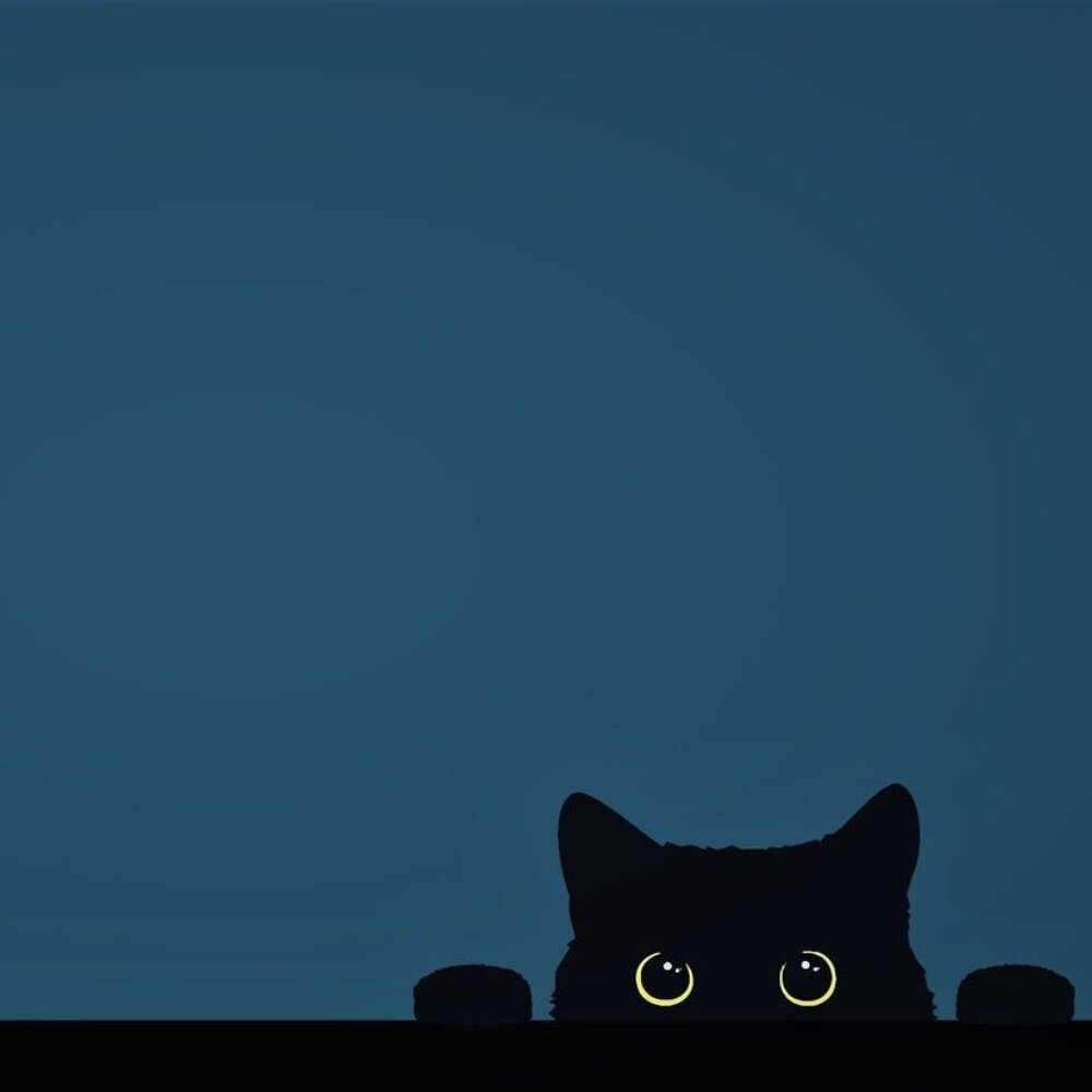 This is inappropriate. Can I keep my information private?